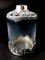 Viktorianische Flasche aus Kristallglas & Silber, 1905 11