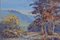 Desmond VC Johnson, Paesaggio impressionista, Dartmouth, Devon, Olio su tavola, Incorniciato, Immagine 7