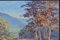 Desmond VC Johnson, Impressionist Landscape, Dartmouth, Devon, Öl an Bord, gerahmt 5