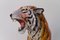 Großer italienischer Keramik Tiger, 1970er 13