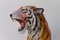 Large Italian Ceramic Tiger, 1970s, Image 13