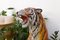 Tigre grande in ceramica, Italia, anni '70, Immagine 6