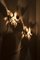 Lampade da parete di Willy Daro, set di 2, Immagine 2