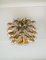 Murano Ceiling Lamp with Amber and Clear Glass Petals, 1990s, Image 13