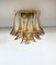 Murano Ceiling Lamp with Amber and Clear Glass Petals, 1990s 1