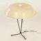 Fiberglass Table Lamp by Louis Kalff for Philips, 1958. 4