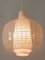 Lámpara colgante Nervi Mid-Century moderna de Aloys Ferdinand Gangkofner para Peill & Putzler, años 50, Imagen 14