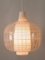Mid-Century Modern Nervi Pendant Lamp by Aloys Ferdinand Gangkofner for Peill & Putzler, 1950s, Image 8