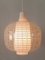 Lámpara colgante Nervi Mid-Century moderna de Aloys Ferdinand Gangkofner para Peill & Putzler, años 50, Imagen 16