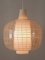 Lámpara colgante Nervi Mid-Century moderna de Aloys Ferdinand Gangkofner para Peill & Putzler, años 50, Imagen 2