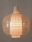 Mid-Century Modern Nervi Pendant Lamp by Aloys Ferdinand Gangkofner for Peill & Putzler, 1950s, Image 2