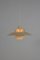 Danish PH 5 Hanging Lamp by Poul Henningsen for Louis Poulsen, Image 2