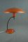 Vintage Table Lamp by Louis Kalff for Philips, 1960s, Image 1