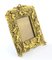 Neo-Baroque Style Photo Frame in Gilded Bronze, 1890s-1900s 1