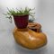 Japanese Burl Root Plant Stand, 1950s, Image 6