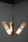 Lámpara de araña funcionalista Art Déco, años 30, Imagen 11
