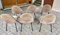 Language 771 Chairs attributed to Joseph André Motte, Set of 6, Image 7