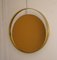 Amber Circular Mirror with Brass Frame, Italy, 1960s, Image 1