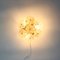 Mid-Century Floral Murano Glass Flush Mount or Wall Light by Ernst Palme for Palwa, Germany, 1960s 7