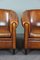 Club Chairs with Black Piping, Set of 2 7