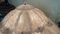 Lampada da soffitto singola attribuita a Italamp, anni '90, Immagine 4