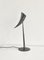 Ara Table Lamp by Philippe Starck for Flos, 1988 4