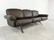 DS31 Sofa in Brown Leather from De Sede, 1970s 8