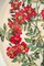 Vassoio in bachelite con decorazioni floreali di Piero Fornasetti, anni '60, Immagine 3