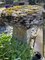 Großes antikes architektonisches Gartenornament aus Staddle, Großbritannien, 18. Jh. 4