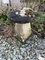 18th Century Staddle Stone Mushroom Garden Statue, 1800s, Image 4