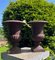 Vintage French Campana Style Cast Iron Garden Urns, 1970s, Set of 2 3