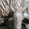 20th Century Italian Silver Statue of a Lion on Marble Base, 1970s 16