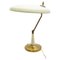 Mid-Century Modern Desk Lamp, 1950s, Image 1