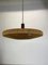 Organic Sisal and Teak Ufo Hanging Light from Temde Lights, Germany, 1960s 8