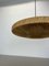 Organische Ufo Hängelampe aus Sisal & Teak von Temde Lights, Deutschland, 1960er 5