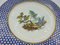 Vincennes Sevres Porcelain Plate Partridge Eye Pattern Painted with Exotic Birds 3
