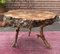 Mid-Century French Root Coffee Table, 1950s, Image 3