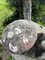 Fungo da giardino vintage in pietra, Belgio, anni '50, Immagine 7