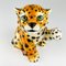 Vintage Ceramic Leopard Sculpture, Italy, 1960s, Image 9