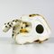 Vintage Ceramic Leopard Sculpture, Italy, 1960s 10