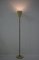 Modern Swedish Uplight Floor Lamps in Brass attributed to Asea, 1940s 7