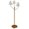 Modern Swedish Floor Lamp in Brass and Leather, 1930s, Image 1