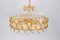 Large Gilt Brass Chandelier attributed to Sciolari for Palwa, Germany, 1970s 6