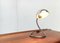 Space Age Snake Cobra Table Lamp, 1970s, Image 11