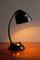 Model 11105 Table Lamp in Bakelite by Eric Kirkman Cole for Elektrosvit, Former Czechoslovakia, 1950s 15