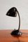 Model 11105 Table Lamp in Bakelite by Eric Kirkman Cole for Elektrosvit, Former Czechoslovakia, 1950s 5