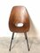 Vittorio Nobili zugeschriebener Curved Plywood Chair für Fratelli Tagliabue, 1950er 2