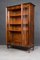 19th Century German Biedermeier Display Cabinet 4