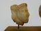 Kopf eines Sarkophags aus Alabaster auf Holzsockel, Pamukale, Griechenland, 1900-1950 5
