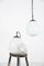Tulip Opaline Glass Ceiling Lamp with Diffuser 2